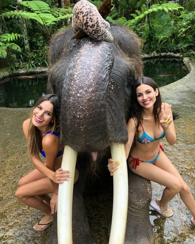 Victoria Justice Feet Toes And Soles 625