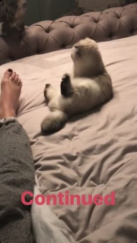 Taylor Swift Feet Toes And Soles 203