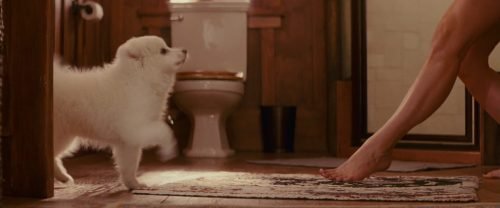 Sandra Bullock Feet Toes And Soles 246