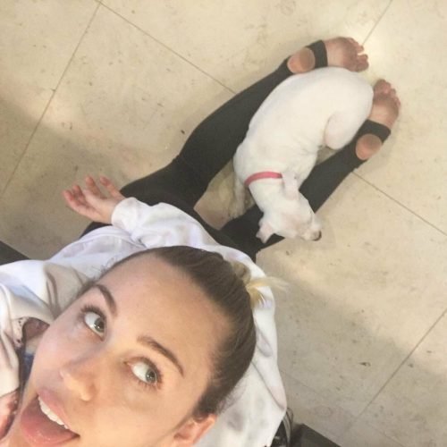 Miley Cyrus Feet Toes And Soles 220