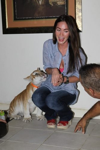 Megan Fox Feet Toes And Soles 279