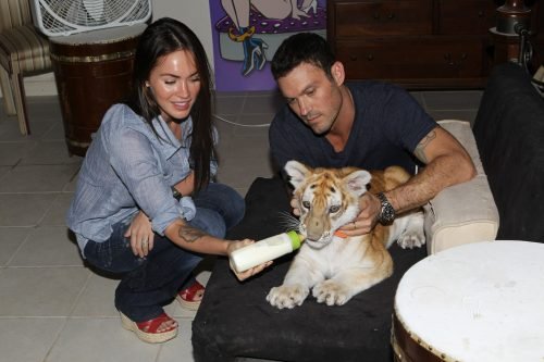 Megan Fox Feet Toes And Soles 359