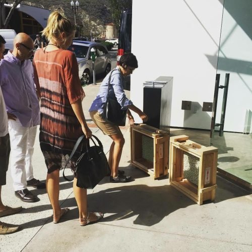 Maria Sharapova Feet Toes And Soles 920
