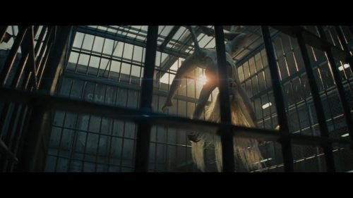 Margot Robbie Feet Toes And Soles 809