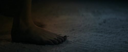 Bella Thorne Feet Toes And Soles 835