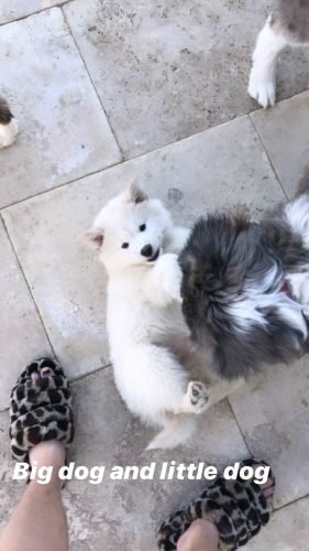 Bella Thorne Feet Toes And Soles 979