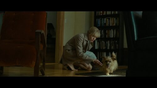 Angelina Jolie Feet Toes And Soles 421