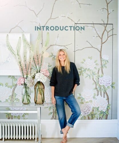 Gwyneth Paltrow Feet Toes And Soles 959