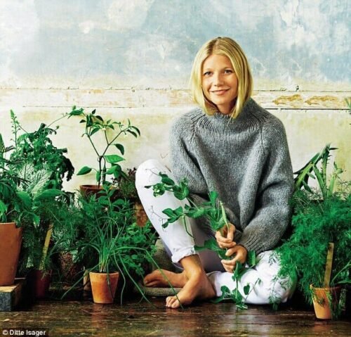 Gwyneth Paltrow Feet Toes And Soles 962