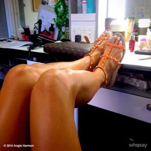 Angie Harmon Feet Toes And Soles 301