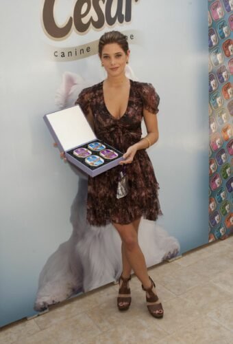 Ashley Greene Feet Toes And Soles 130