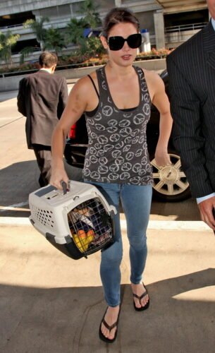 Ashley Greene Feet Toes And Soles 302