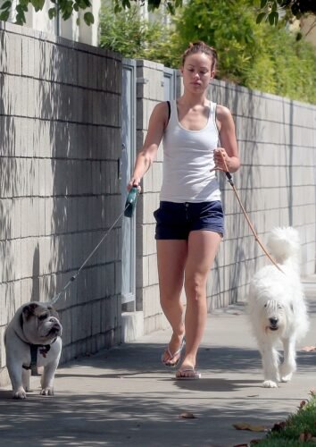 Olivia Wilde Feet Toes And Soles 200