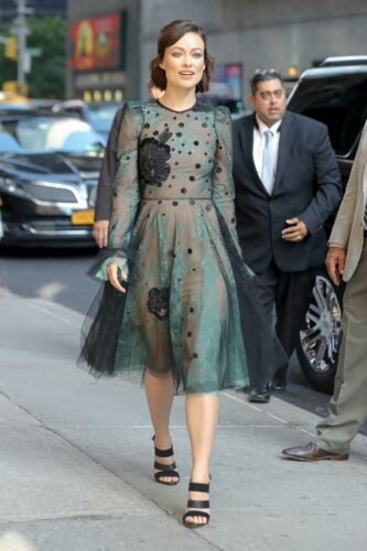 Olivia Wilde Feet Toes And Soles 1286