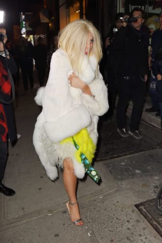 Lady Gaga Feet Toes And Soles 543