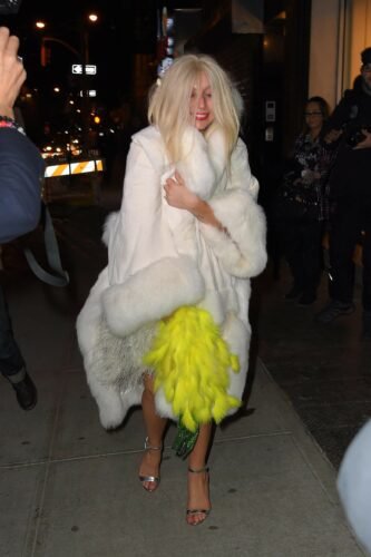 Lady Gaga Feet Toes And Soles 544