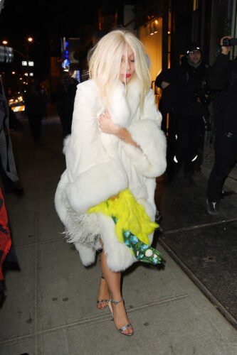 Lady Gaga Feet Toes And Soles 556