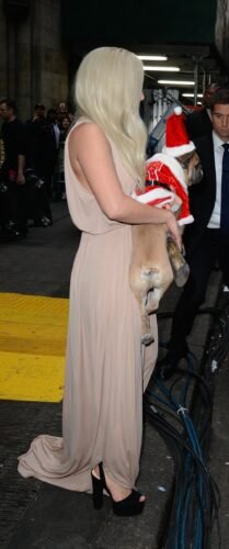 Lady Gaga Feet Toes And Soles 804