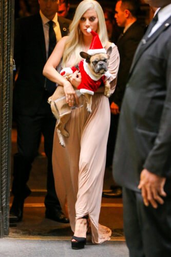 Lady Gaga Feet Toes And Soles 806