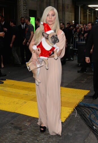 Lady Gaga Feet Toes And Soles 807