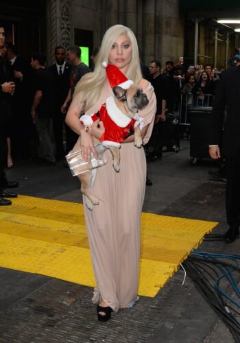 Lady Gaga Feet Toes And Soles 808