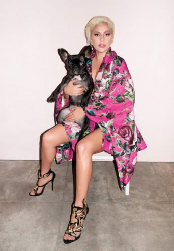 Lady Gaga Feet Toes And Soles 825