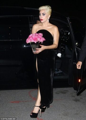 Lady Gaga Feet Toes And Soles 859