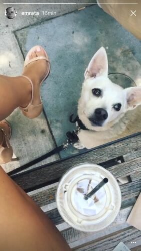 Emily Ratajkowski Feet Toes And Soles 635