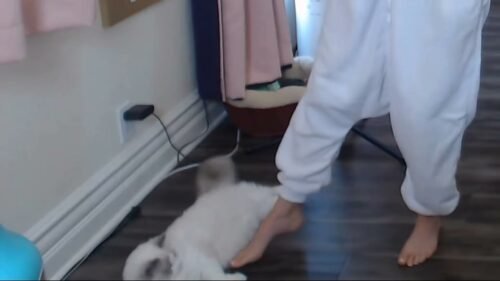 Imane 'Pokimane' Anys Feet Toes And Soles 53