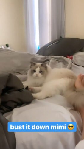 Imane 'Pokimane' Anys Feet Toes And Soles 89
