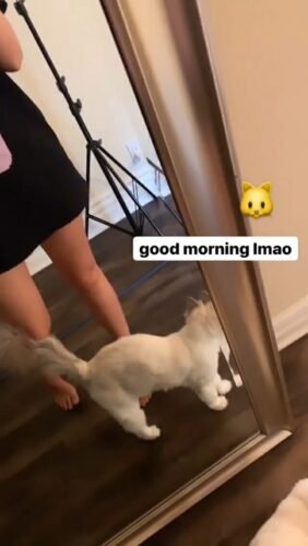 Imane 'Pokimane' Anys Feet Toes And Soles 114