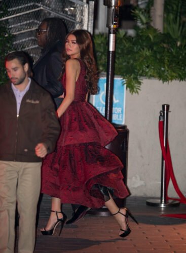 Zendaya Feet Toes And Soles 251