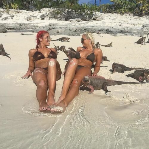 Maryse Mizanin Feet Toes And Soles 102