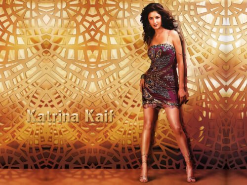 Katrina Kaif Feet Toes And Soles 212