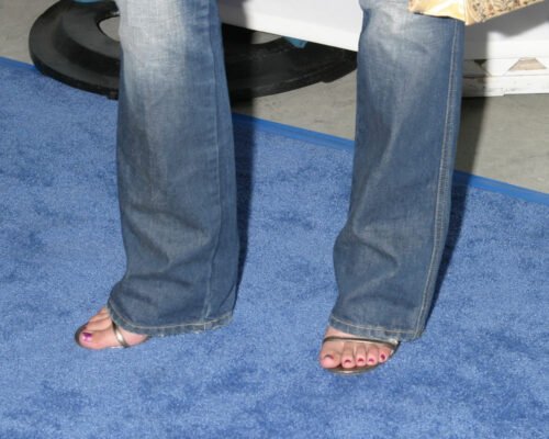 Sophia Bush Feet Toes And Soles 37