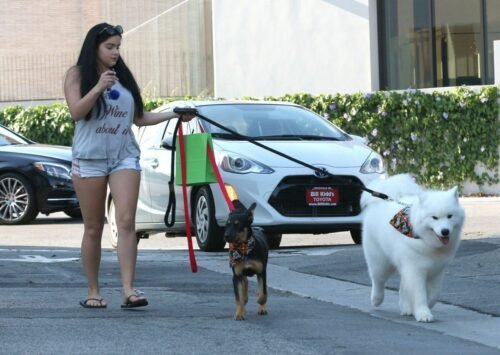 Ariel Winter Feet Toes And Soles 202