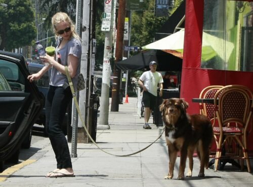 Amanda Seyfried Feet Toes And Soles 139