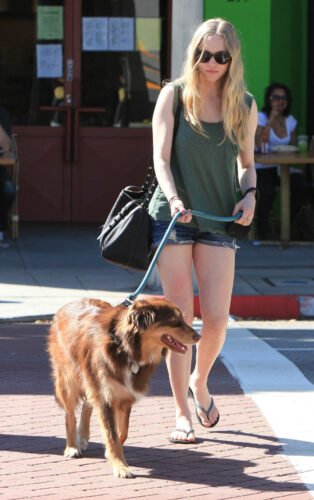 Amanda Seyfried Feet Toes And Soles 278