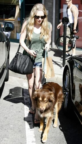Amanda Seyfried Feet Toes And Soles 323