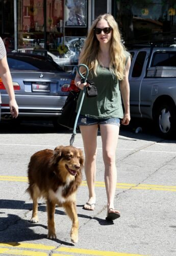 Amanda Seyfried Feet Toes And Soles 328