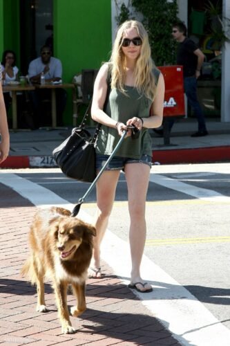 Amanda Seyfried Feet Toes And Soles 331