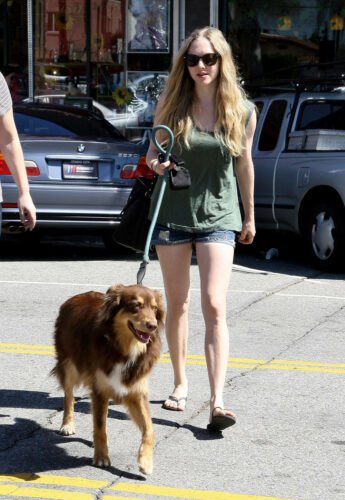 Amanda Seyfried Feet Toes And Soles 357