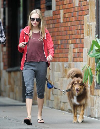 Amanda Seyfried Feet Toes And Soles 567