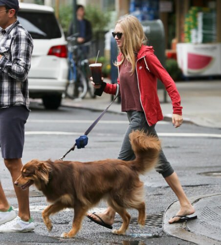 Amanda Seyfried Feet Toes And Soles 568