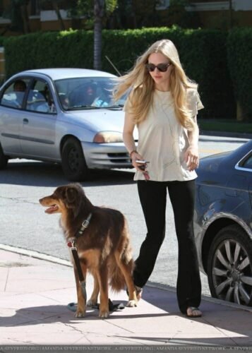 Amanda Seyfried Feet Toes And Soles 665