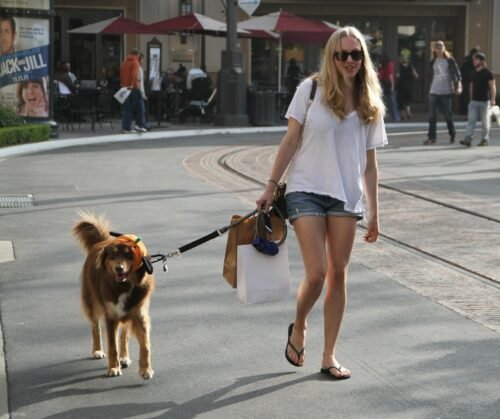Amanda Seyfried Feet Toes And Soles 673