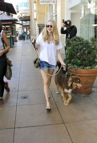 Amanda Seyfried Feet Toes And Soles 682