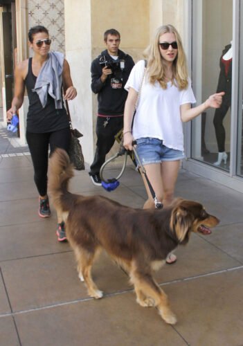 Amanda Seyfried Feet Toes And Soles 683