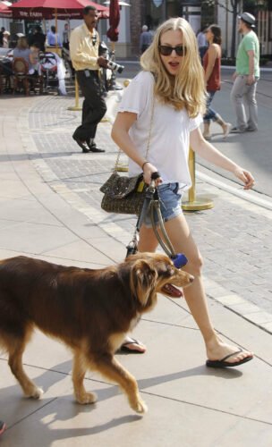 Amanda Seyfried Feet Toes And Soles 685