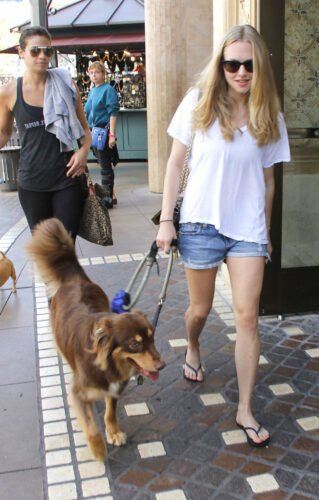 Amanda Seyfried Feet Toes And Soles 716